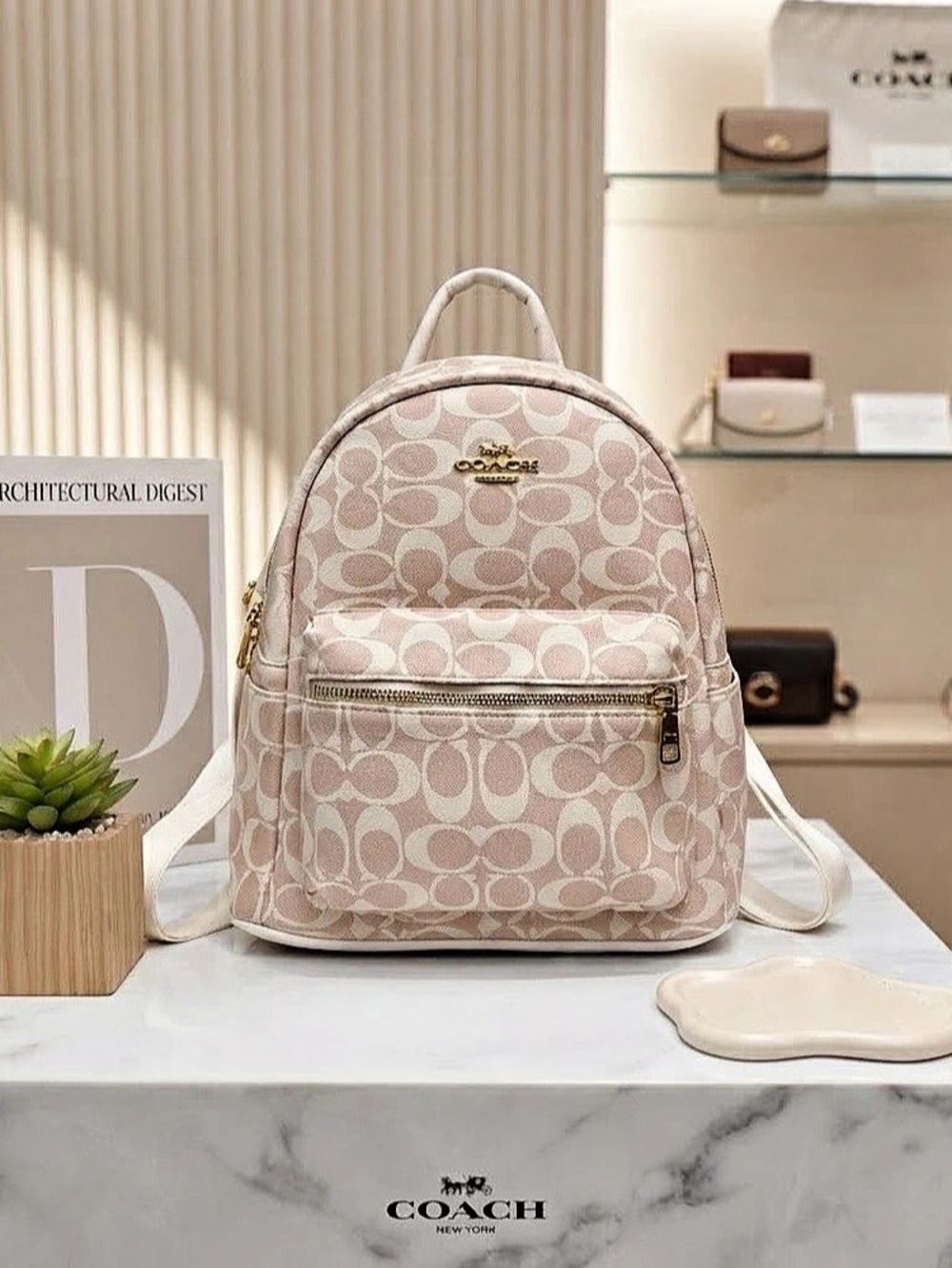 Coach Court Backpack In Signature Canvas